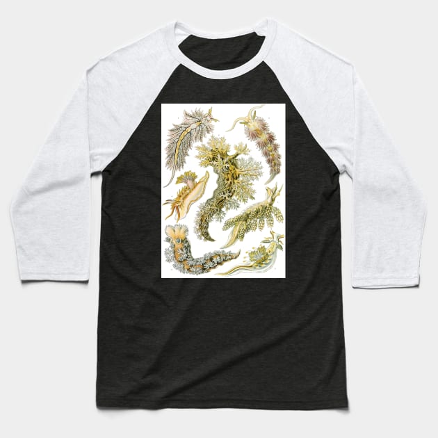 Sea Slugs Nudibranchia by Ernst Haeckel Baseball T-Shirt by MasterpieceCafe